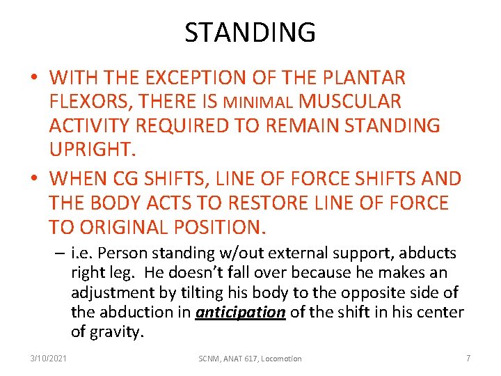 STANDING • WITH THE EXCEPTION OF THE PLANTAR FLEXORS, THERE IS MINIMAL MUSCULAR ACTIVITY