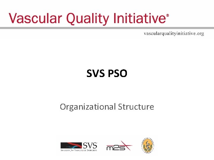 SVS PSO Organizational Structure 