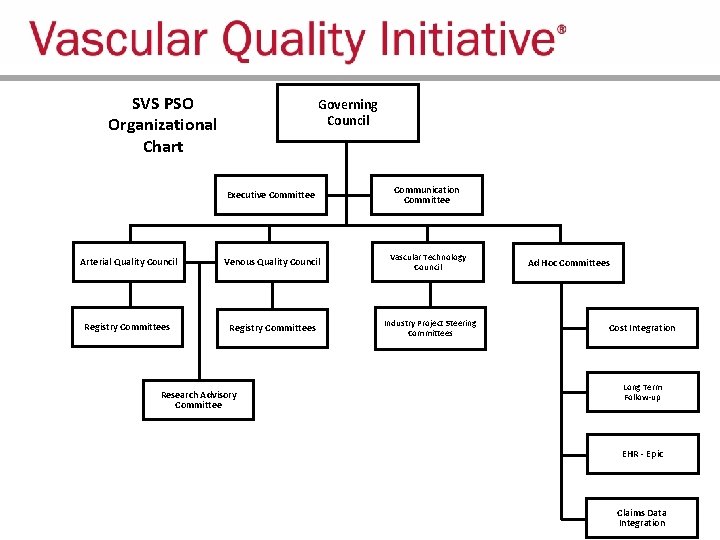 SVS PSO Organizational Chart Governing Council Executive Committee Communication Committee Arterial Quality Council Venous