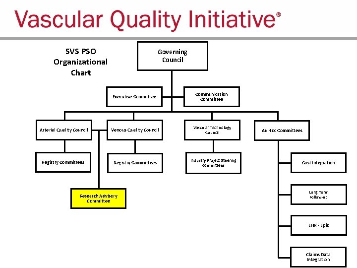 SVS PSO Organizational Chart Governing Council Executive Committee Communication Committee Arterial Quality Council Venous