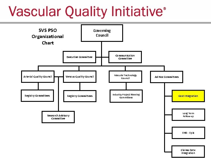 SVS PSO Organizational Chart Governing Council Executive Committee Communication Committee Arterial Quality Council Venous