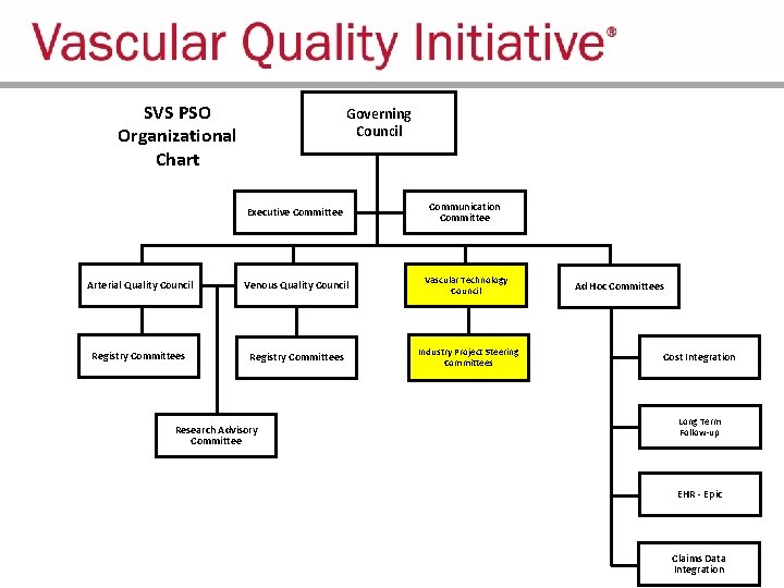 SVS PSO Organizational Chart Governing Council Executive Committee Communication Committee Arterial Quality Council Venous