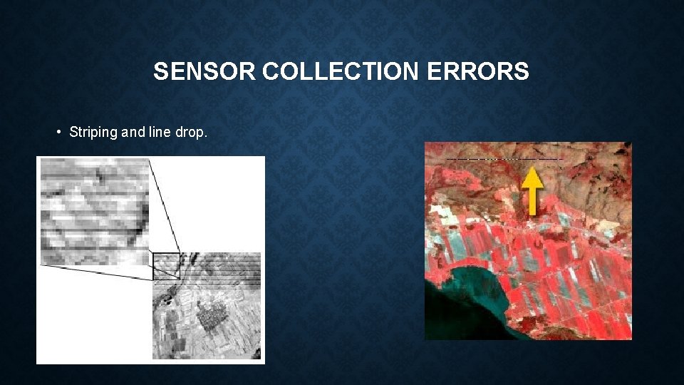 SENSOR COLLECTION ERRORS • Striping and line drop. 