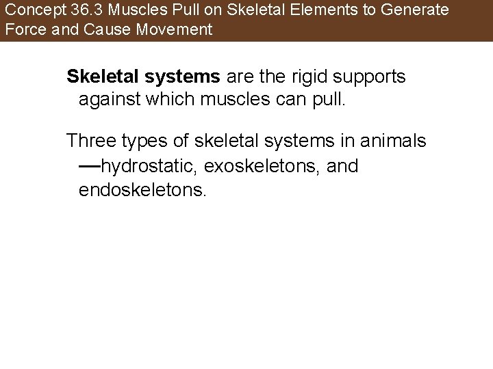 Concept 36. 3 Muscles Pull on Skeletal Elements to Generate Force and Cause Movement