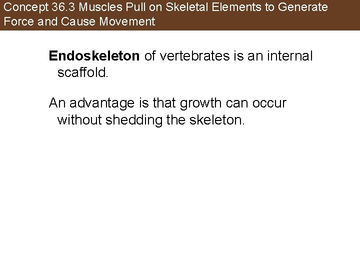 Concept 36. 3 Muscles Pull on Skeletal Elements to Generate Force and Cause Movement