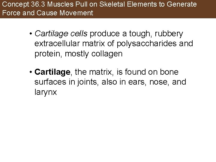 Concept 36. 3 Muscles Pull on Skeletal Elements to Generate Force and Cause Movement