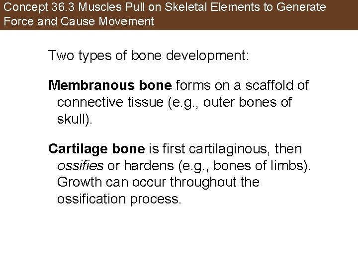 Concept 36. 3 Muscles Pull on Skeletal Elements to Generate Force and Cause Movement