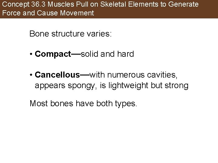 Concept 36. 3 Muscles Pull on Skeletal Elements to Generate Force and Cause Movement