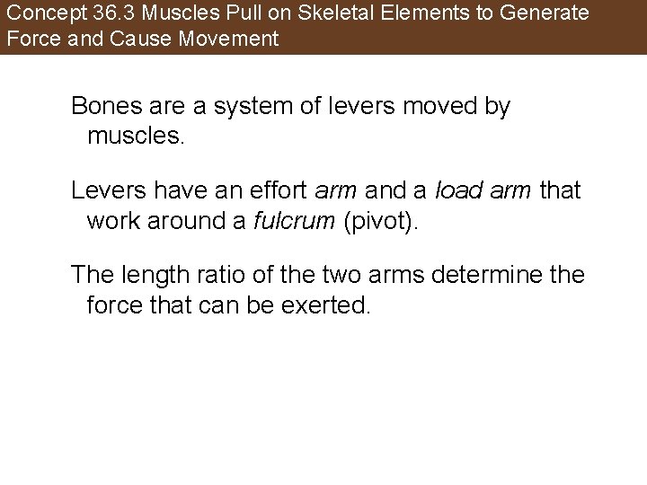 Concept 36. 3 Muscles Pull on Skeletal Elements to Generate Force and Cause Movement