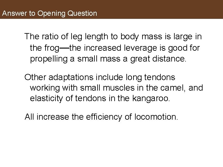 Answer to Opening Question The ratio of leg length to body mass is large