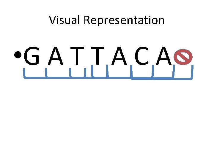 Visual Representation • G A T T A C A 