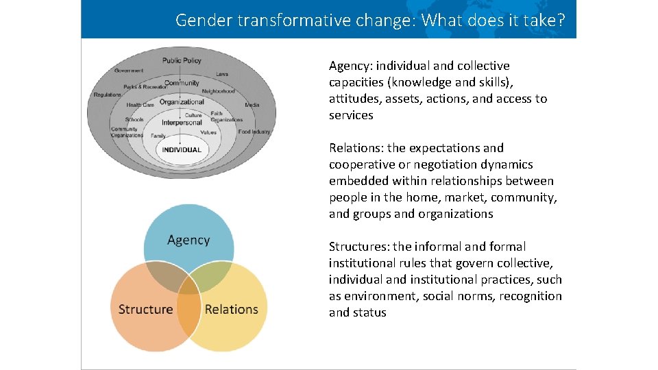 Gender transformative change: What does it take? Agency: individual and collective capacities (knowledge and