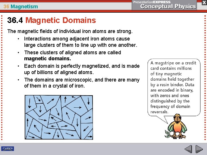 36 Magnetism 36. 4 Magnetic Domains The magnetic fields of individual iron atoms are