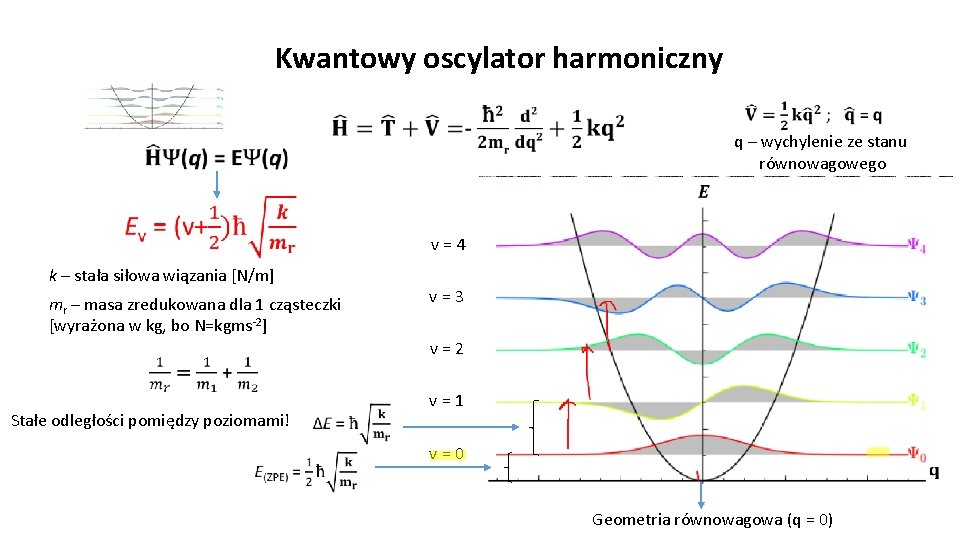 Kwantowy oscylator harmoniczny q – wychylenie ze stanu równowagowego v = 4 k –