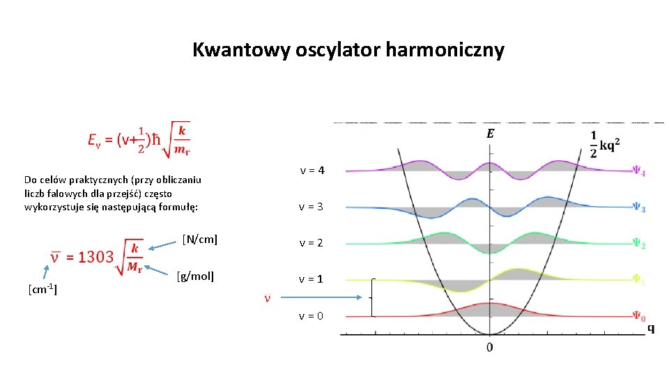 Kwantowy oscylator harmoniczny v = 4 Do celów praktycznych (przy obliczaniu liczb falowych dla