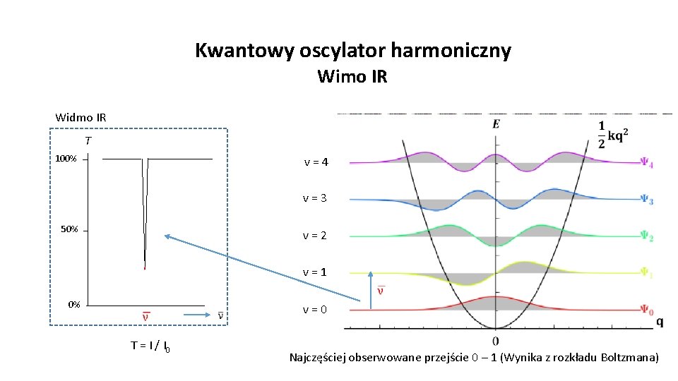 Kwantowy oscylator harmoniczny Wimo IR Widmo IR T 100% v = 4 v =