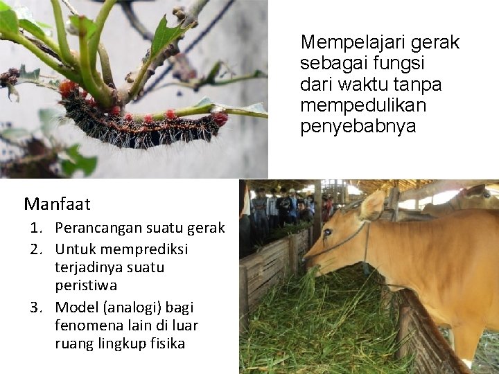 Mempelajari gerak sebagai fungsi dari waktu tanpa mempedulikan penyebabnya Manfaat 1. Perancangan suatu gerak