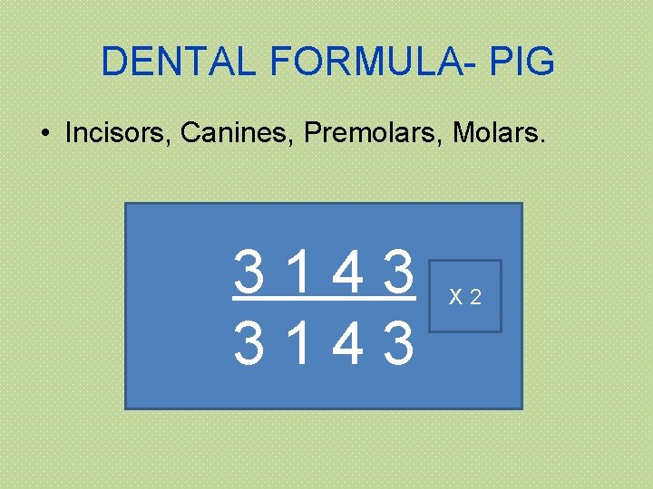 DENTAL FORMULA- PIG • Incisors, Canines, Premolars, Molars. 3143 X 2 