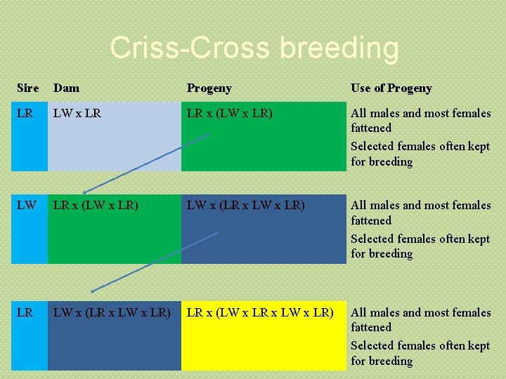 Criss-Cross breeding Sire Dam Progeny Use of Progeny LR LW x LR LR x