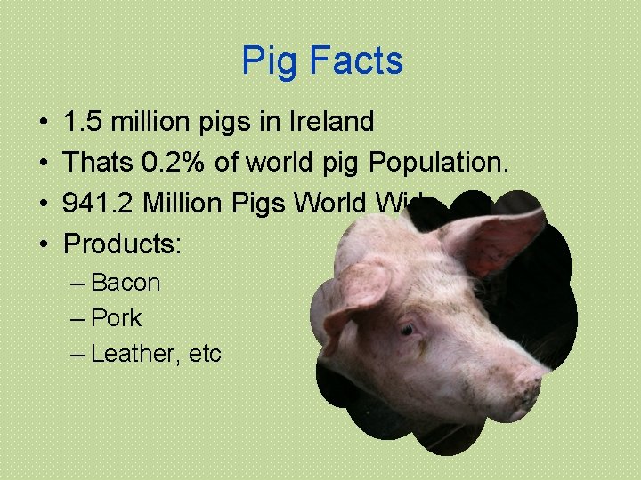 Pig Facts • • 1. 5 million pigs in Ireland Thats 0. 2% of