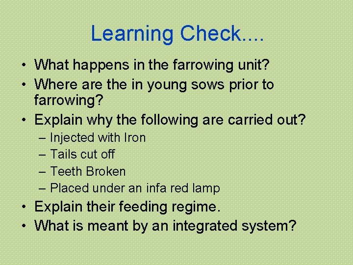 Learning Check. . • What happens in the farrowing unit? • Where are the