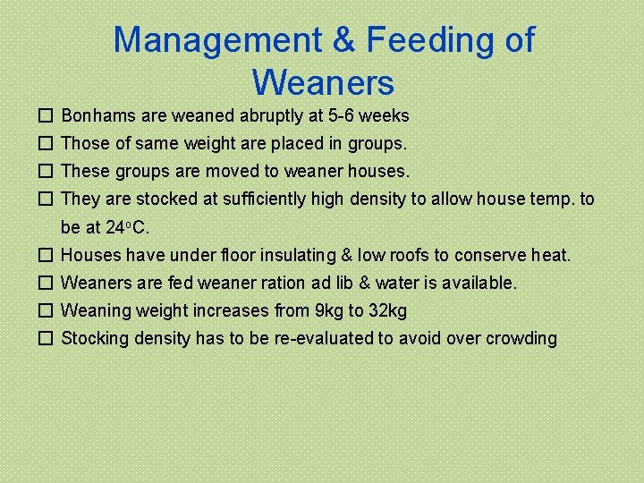 Management & Feeding of Weaners � Bonhams are weaned abruptly at 5 -6 weeks