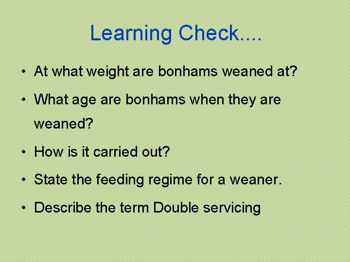 Learning Check. . • At what weight are bonhams weaned at? • What age