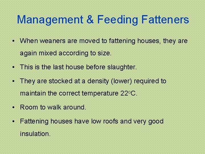 Management & Feeding Fatteners • When weaners are moved to fattening houses, they are