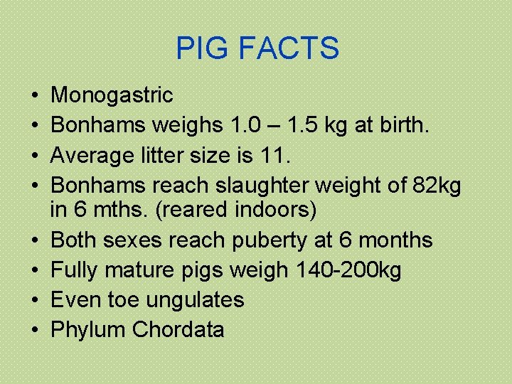 PIG FACTS • • Monogastric Bonhams weighs 1. 0 – 1. 5 kg at