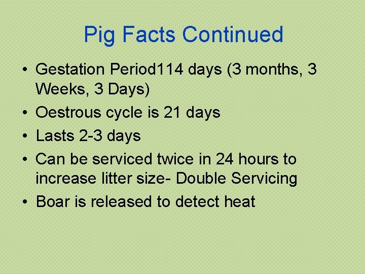 Pig Facts Continued • Gestation Period 114 days (3 months, 3 Weeks, 3 Days)