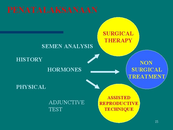 PENATALAKSANAAN SEMEN ANALYSIS HISTORY HORMONES SURGICAL THERAPY NON SURGICAL TREATMENT PHYSICAL ADJUNCTIVE TEST ASSISTED