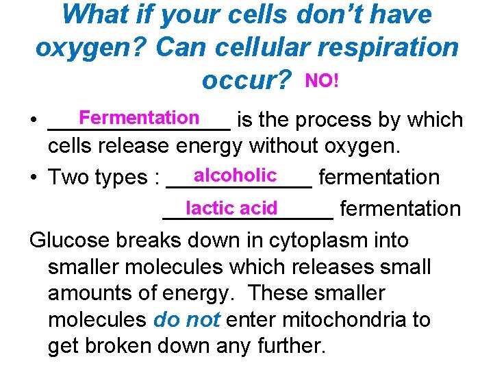 What if your cells don’t have oxygen? Can cellular respiration occur? NO! Fermentation •