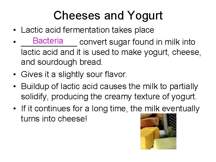 Cheeses and Yogurt • Lactic acid fermentation takes place Bacteria • ______ convert sugar