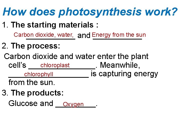 How does photosynthesis work? 1. The starting materials : Carbon dioxide, water, and Energy