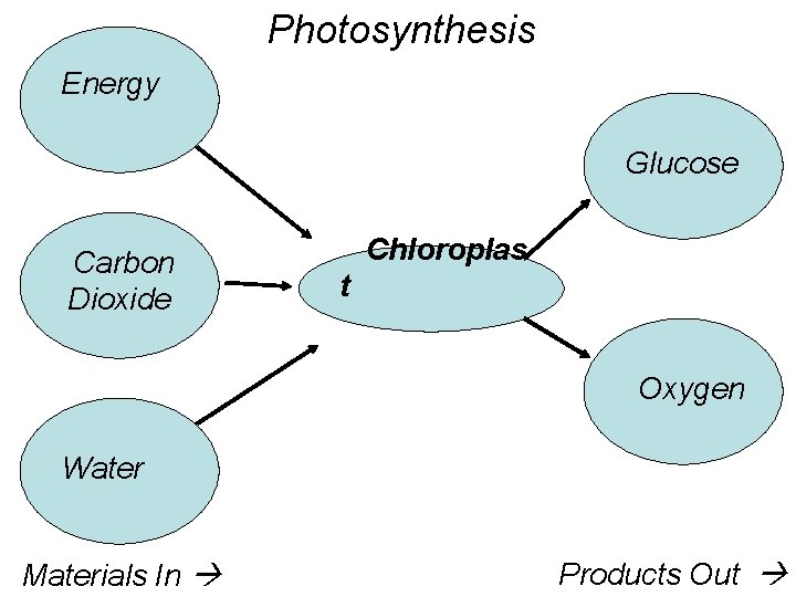 Photosynthesis Energy Glucose Carbon Dioxide Chloroplas t Oxygen Water Materials In Products Out 