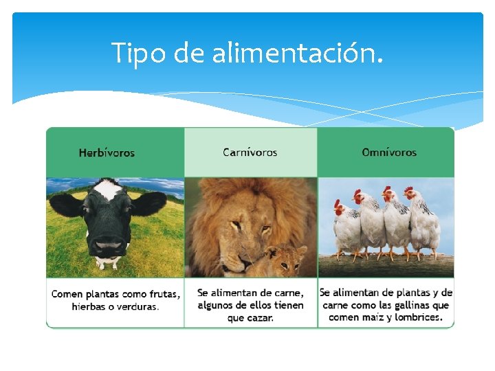 Tipo de alimentación. 