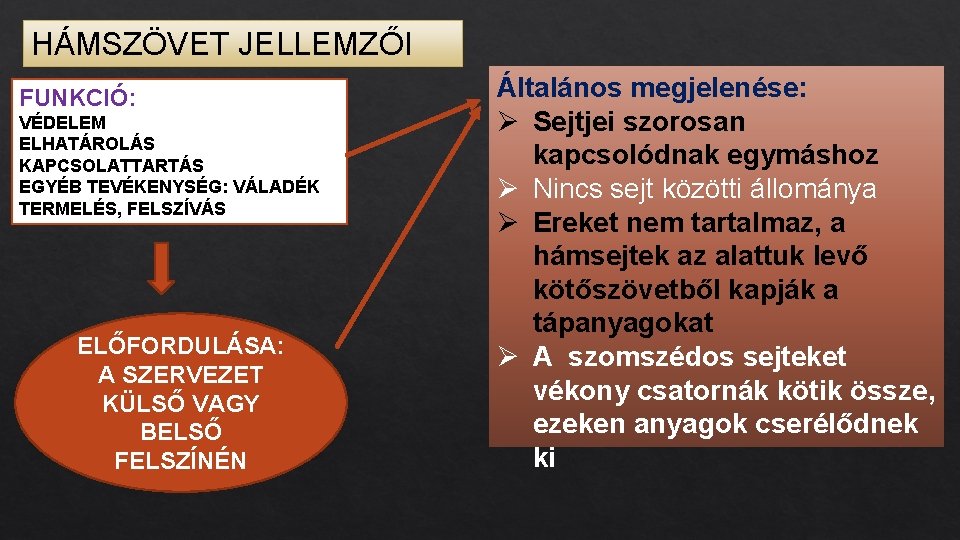 HÁMSZÖVET JELLEMZŐI FUNKCIÓ: VÉDELEM ELHATÁROLÁS KAPCSOLATTARTÁS EGYÉB TEVÉKENYSÉG: VÁLADÉK TERMELÉS, FELSZÍVÁS ELŐFORDULÁSA: A SZERVEZET