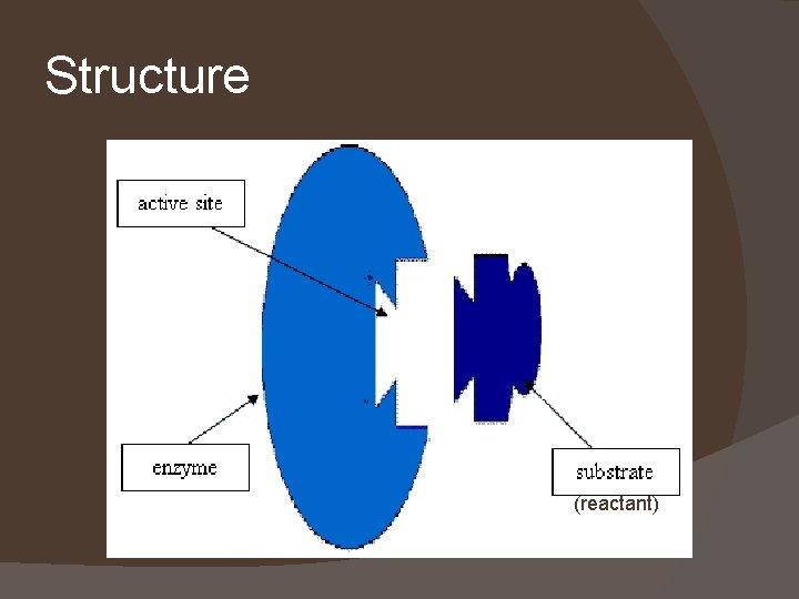 Structure (reactant)t 