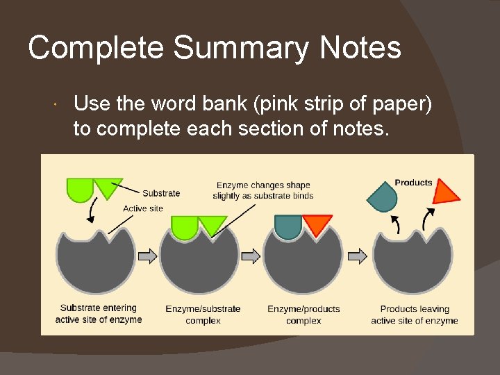 Complete Summary Notes Use the word bank (pink strip of paper) to complete each