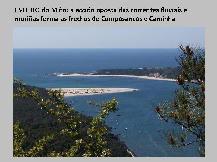 ESTEIRO do Miño: a acción oposta das correntes fluviais e mariñas forma as frechas