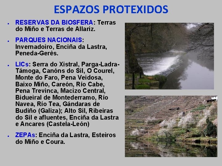 ESPAZOS PROTEXIDOS ● ● RESERVAS DA BIOSFERA: Terras do Miño e Terras de Allariz.