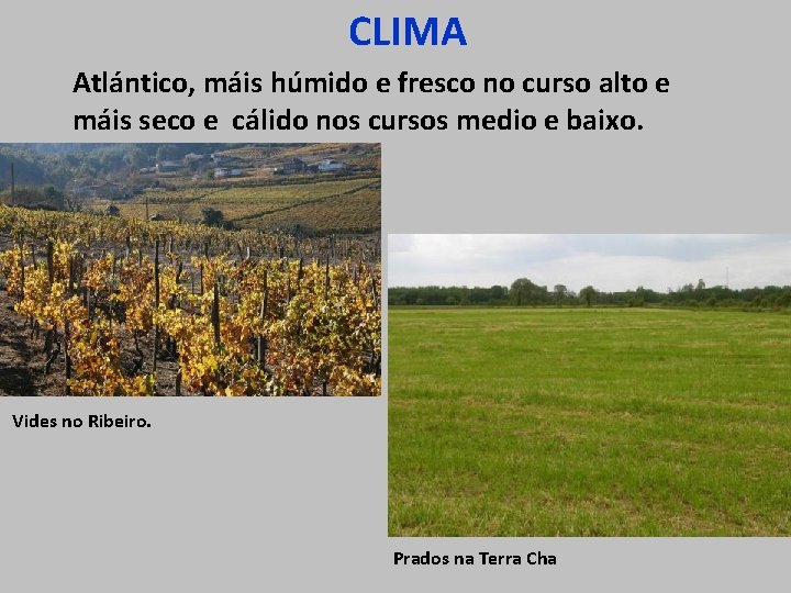 CLIMA Atlántico, máis húmido e fresco no curso alto e máis seco e cálido