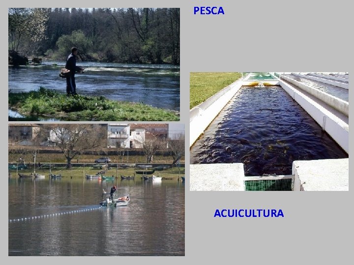 PESCA ACUICULTURA 