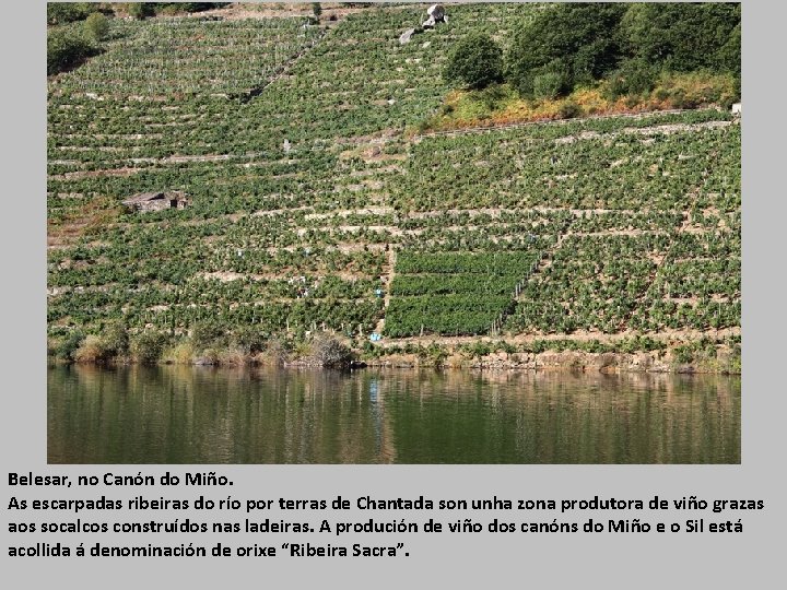 Belesar, no Canón do Miño. As escarpadas ribeiras do río por terras de Chantada