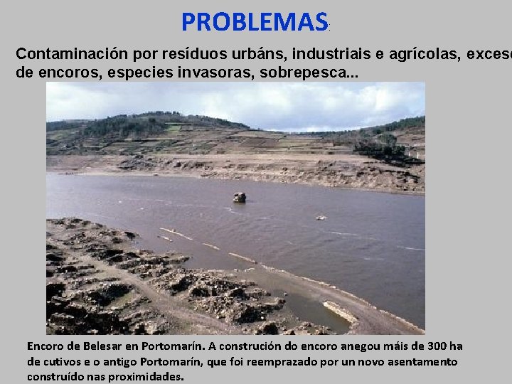 PROBLEMAS : Contaminación por resíduos urbáns, industriais e agrícolas, exceso de encoros, especies invasoras,