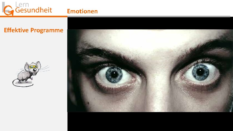 Emotionen Effektive Programme 