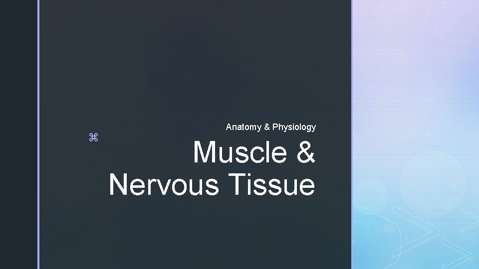 z Anatomy & Physiology Muscle & Nervous Tissue 