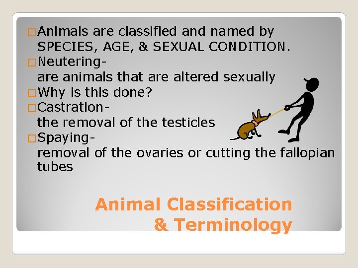 �Animals are classified and named by SPECIES, AGE, & SEXUAL CONDITION. �Neuteringare animals that