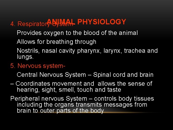 ANIMAL 4. Respiratory System- PHYSIOLOGY Provides oxygen to the blood of the animal Allows