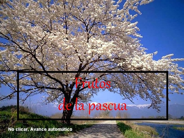 Frutos de la pascua No clicar. Avance automático 